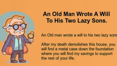 An Old Man Wrote A Will To His Two Lazy Sons