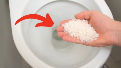 Put Salt In The Toilet. This Trick Will Change Your Life