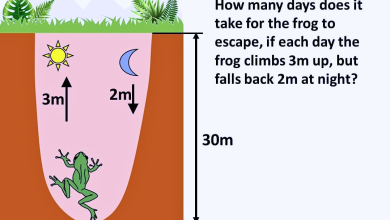 A Frog Has Fallen Into A Pit That Is 30m Deep