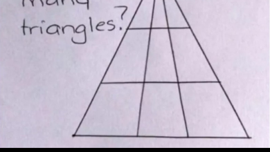 A Simple Math Homework Problem Left Many People Confused As They Couldnt Give The Correct Answer