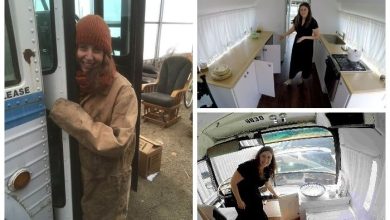 A Woman Turned a 1966 Bus into a Comfortable and Cozy Home on Wheels