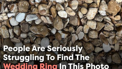 Can You Spot The Wedding Ring In This Photo Of A Bunch Of Pebbles e1723862129948