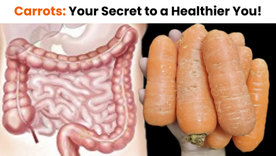 Carrots Your Secret to a Healthier You2