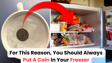 For This Reason, You Should Always Put A Coin In Your Freezer