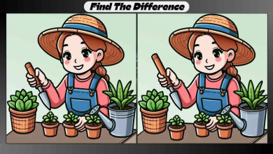 Spot 3 Differences Between Indoor Gardening Pictures in 20 Seconds