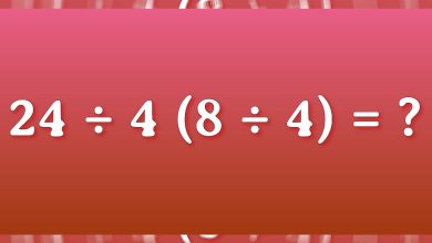 460993099 938546668300890 7016181591304610033 n