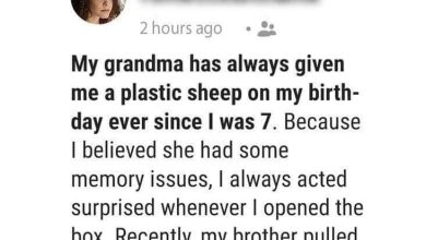 My Grandma Gave Me A Plastic Sheep On My Birthday For Years e1726202182533