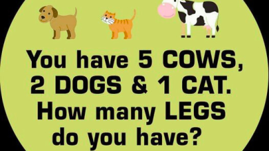 Riddle You Have 5 Cows 2 Dogs 1 Cat How Many Legs Do You Have