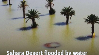 Sahara Desert Flooded By Water As OnceIn50Year Event Takes Place