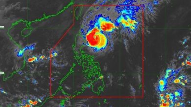 Typhoon Marce international code